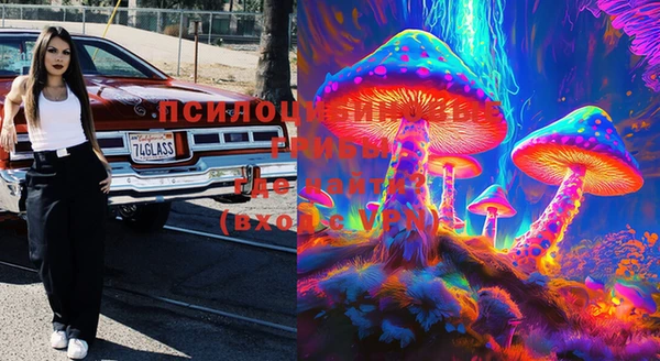 apvp Горняк