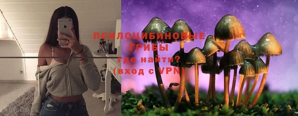 СК Горно-Алтайск
