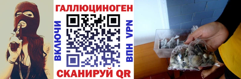 Галлюциногенные грибы прущие грибы  Купить где  Тайга 
